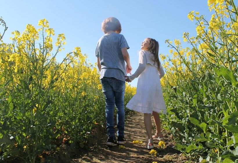 Beautiful Apartment In Damshagen Near The Sea