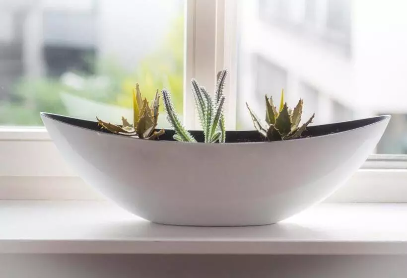 City Apartments Siegburg