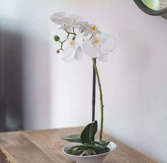 City Apartments Siegburg