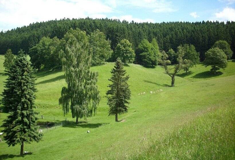 Cozy Apartment In Bruchhausen With Terrace