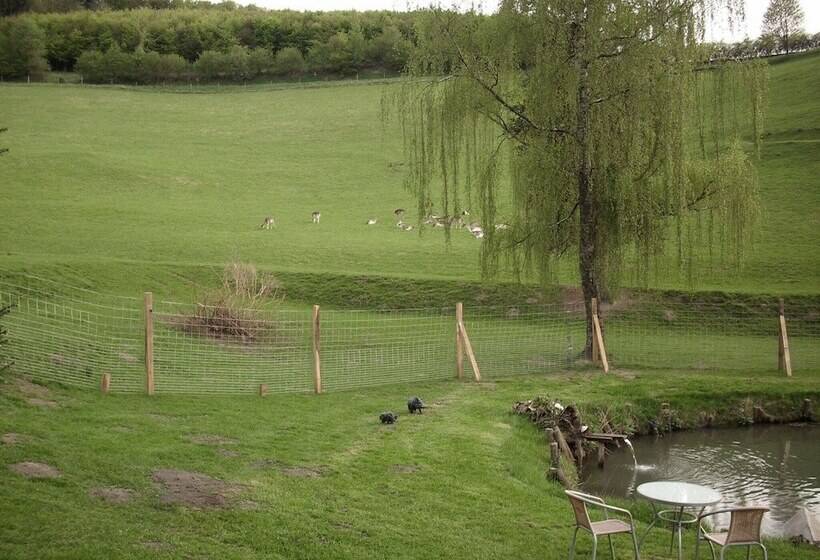 Cozy Apartment In Bruchhausen With Terrace