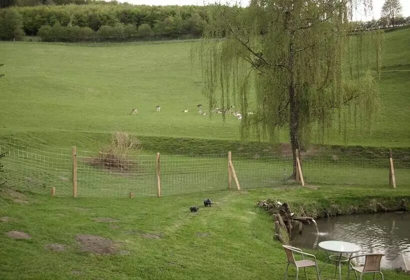 Cozy Apartment In Bruchhausen With Terrace