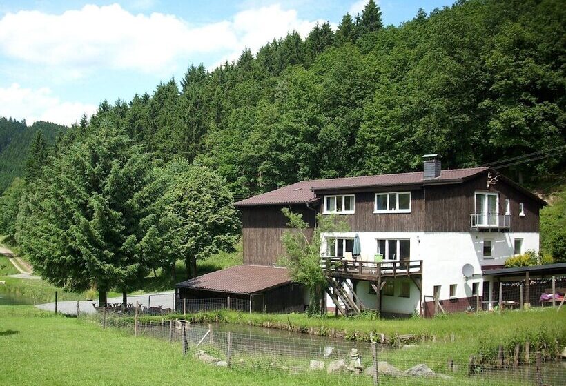 Cozy Apartment In Bruchhausen With Terrace