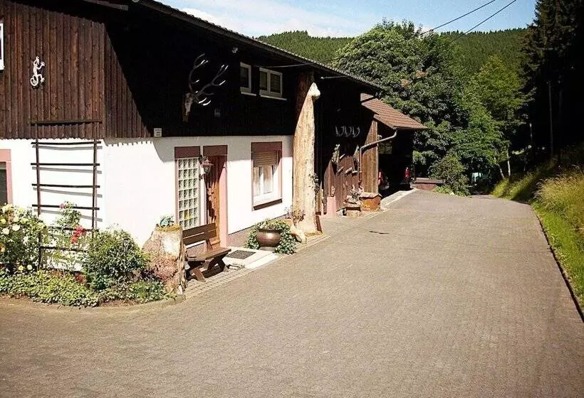 Cozy Apartment In Bruchhausen With Terrace