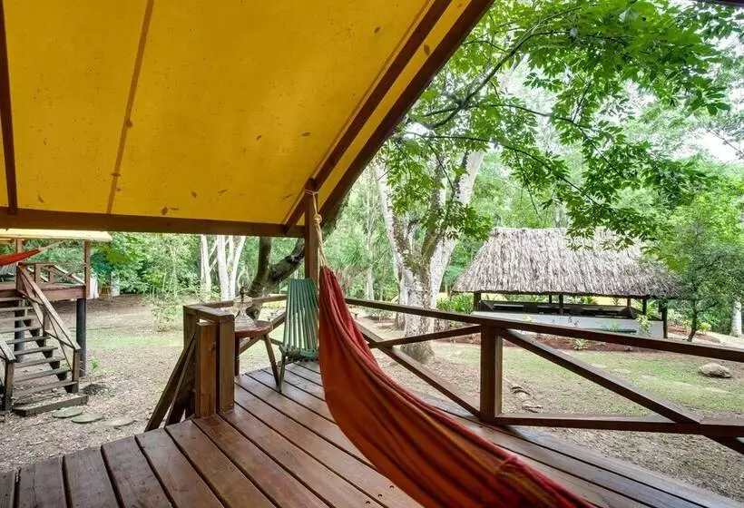 هتل Belize Rainforest Retreat At Chaa Creek