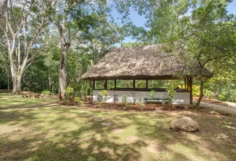 هتل Belize Rainforest Retreat At Chaa Creek