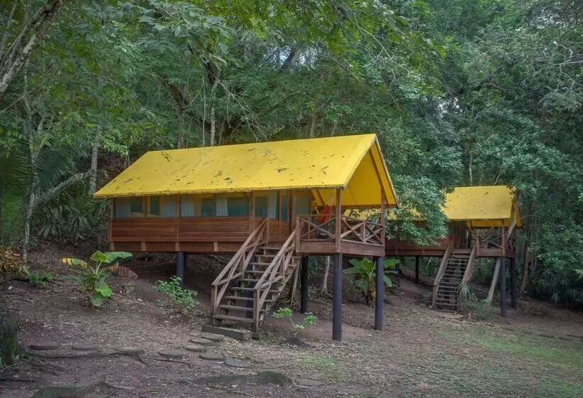 هتل Belize Rainforest Retreat At Chaa Creek