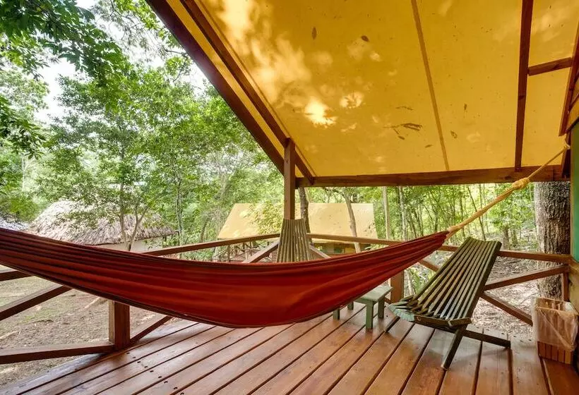 هتل Belize Rainforest Retreat At Chaa Creek