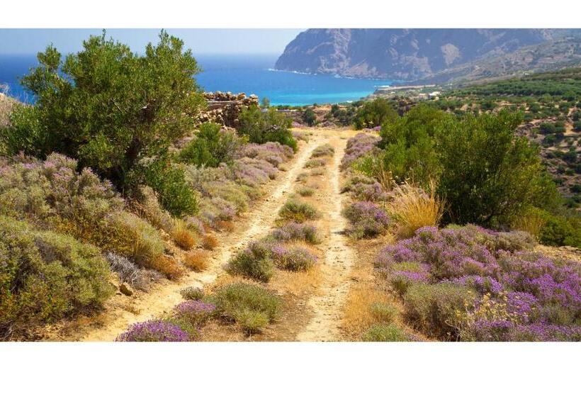 فندق Melidoni X Village