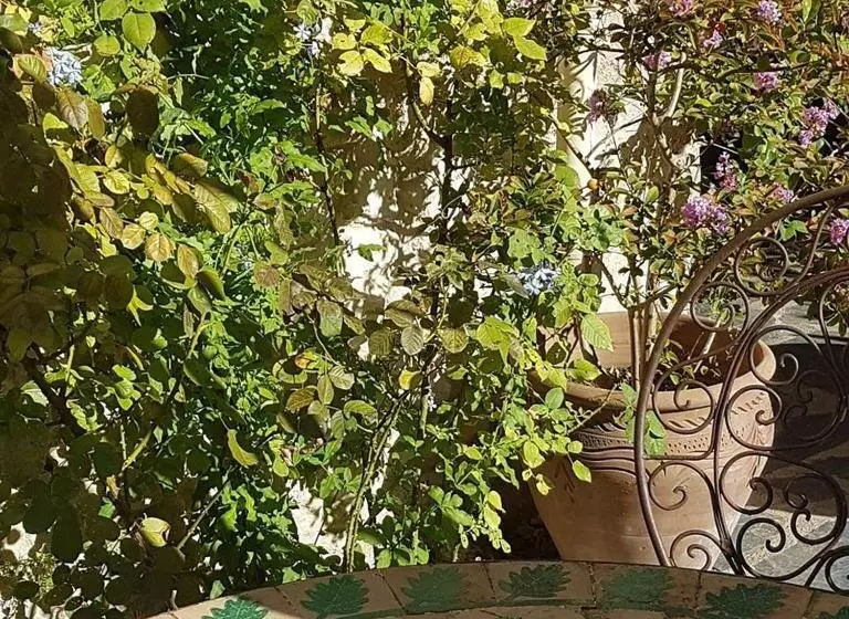 ペンション Chambres D Hotes Le Mas Des Fontaines