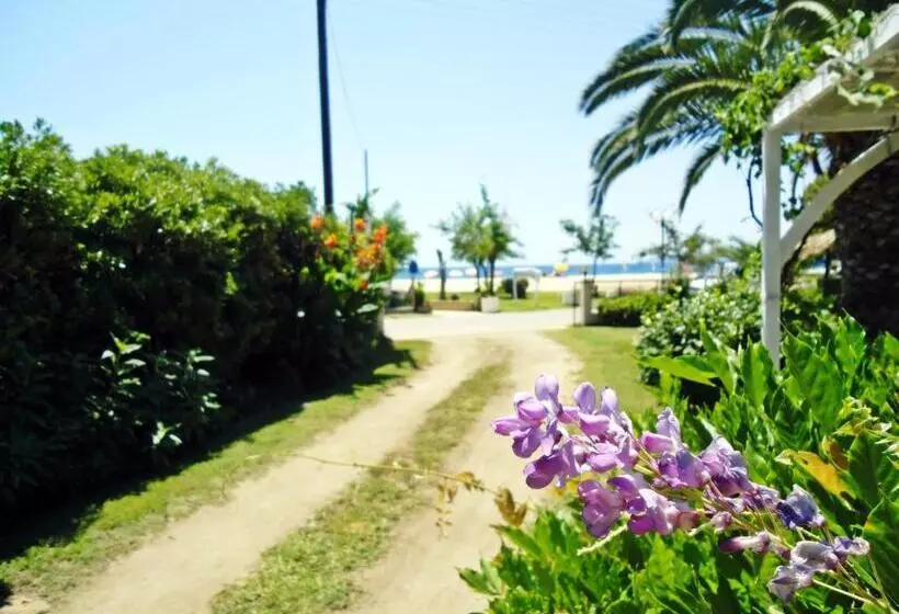 Electra Studios