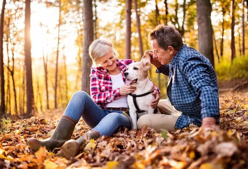 Achat Hotel Karoli Waldkirchen