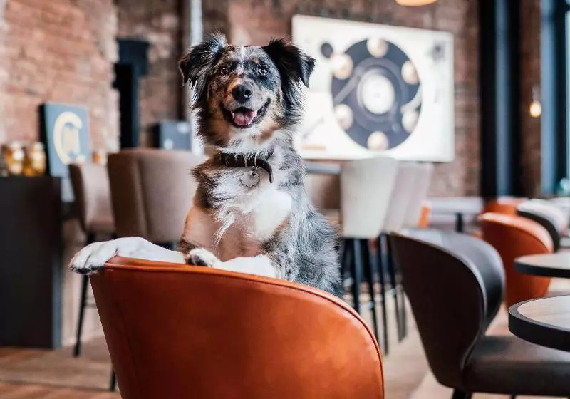 Me And All Hotel Hanover, By Hyatt