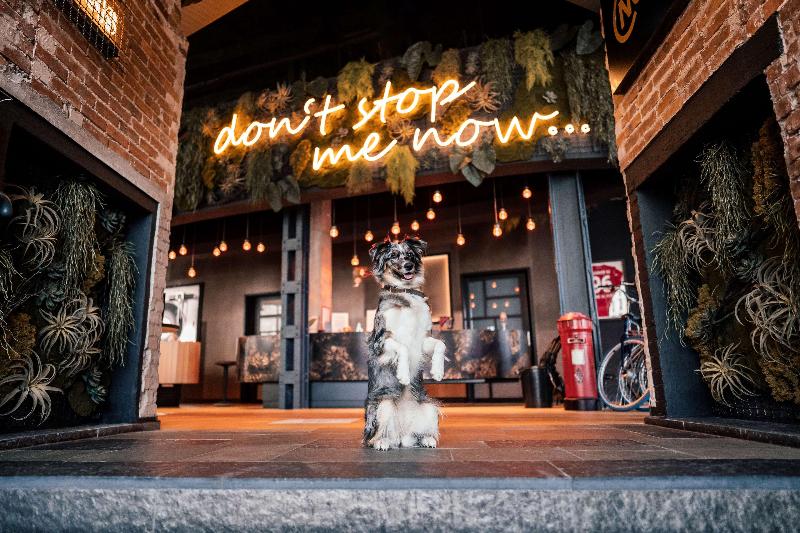 Me And All Hotel Hanover, By Hyatt