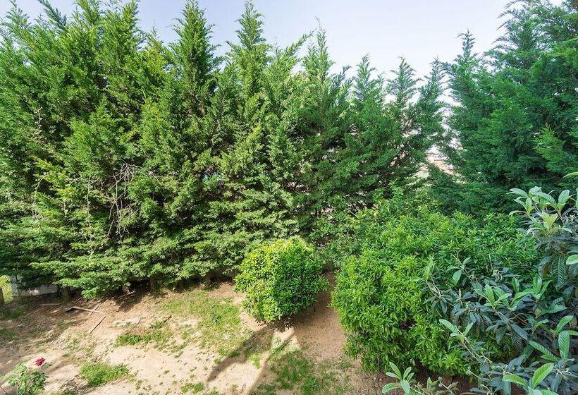 Lux Airport Apartment