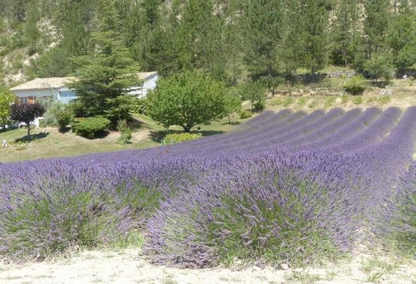 펜션 Domaine Du Murier