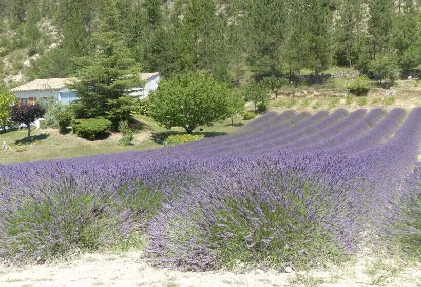 ペンション Domaine Du Murier
