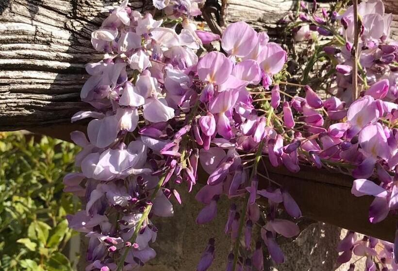 אתר נופש Antichi Casali