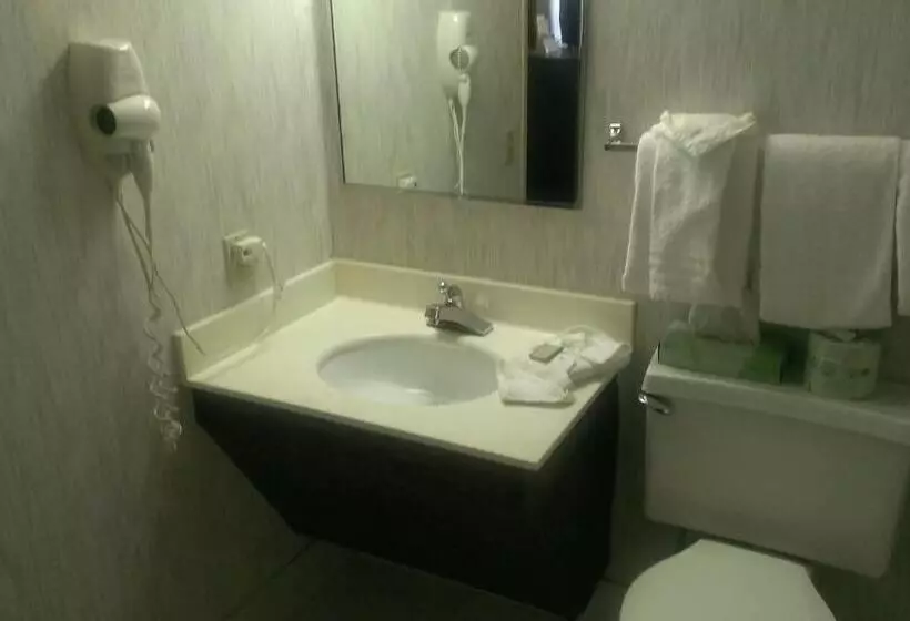 ホテル Quality Inn