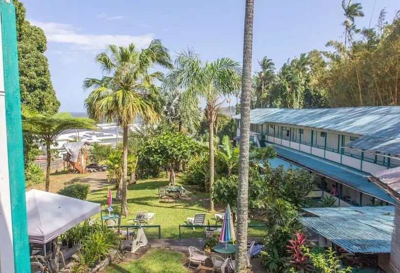 Отель Wild Ginger