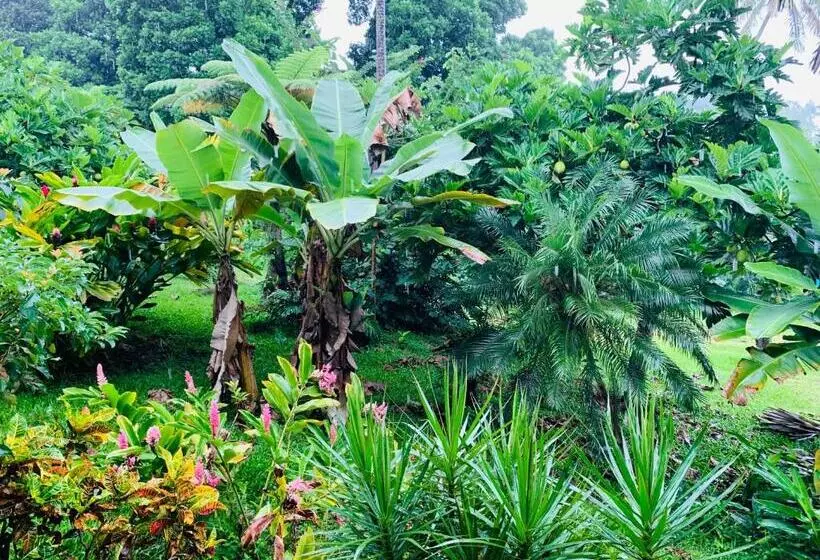 Отель Wild Ginger