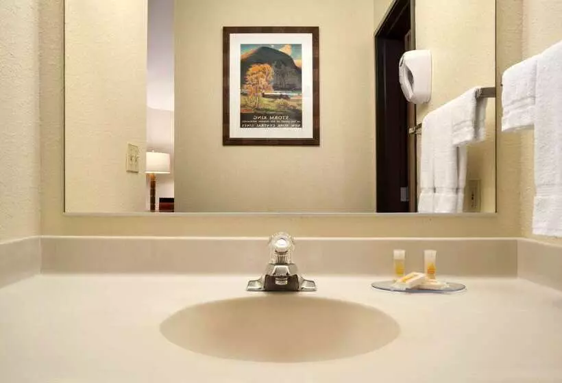 汽车旅馆  Colony Inn