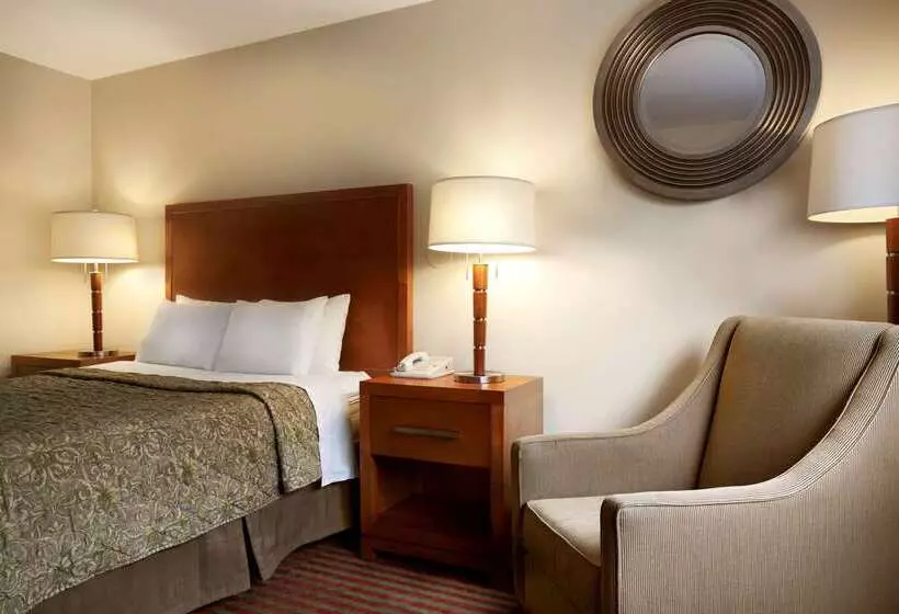 汽车旅馆  Colony Inn