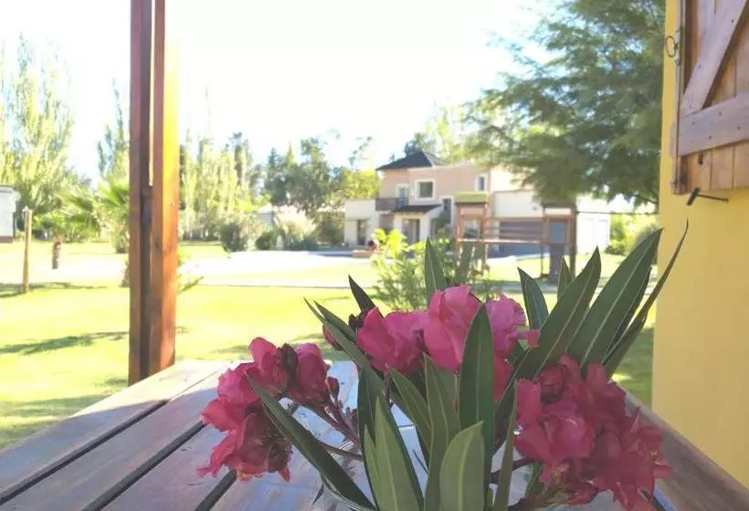 Cabañas Y Habitaciones Terra Nostra Complejo