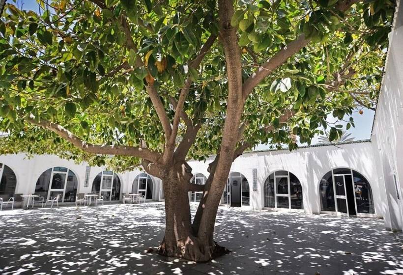 Otel Palmyra Club Nabeul