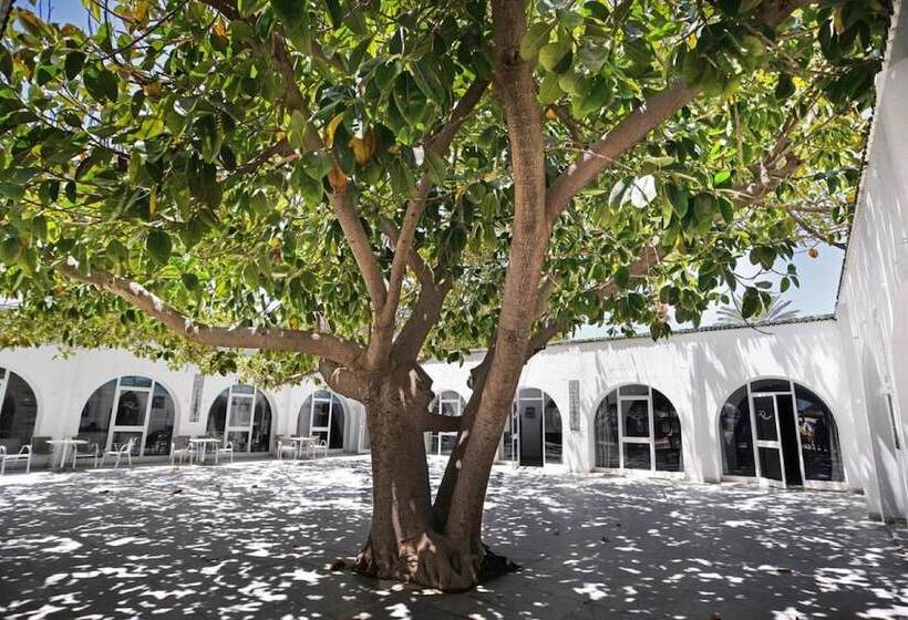 Otel Palmyra Club Nabeul