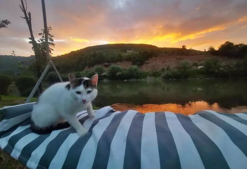تختخواب و صبحانه Prenoćište Na Drini Foča