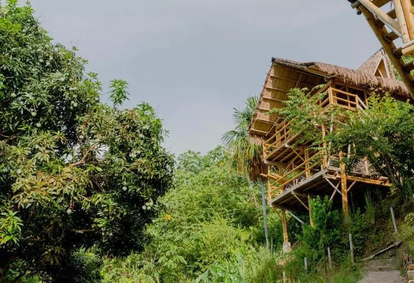 ホテル Niuwi Hostel