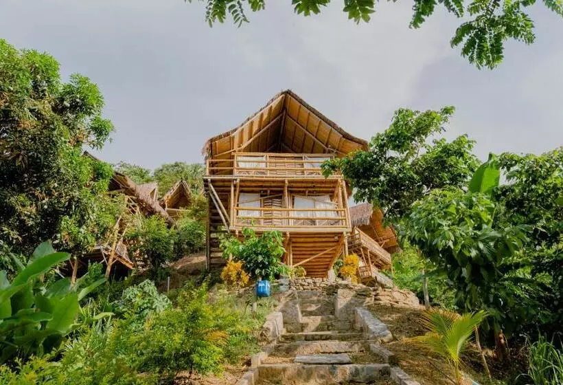 ホテル Niuwi Hostel