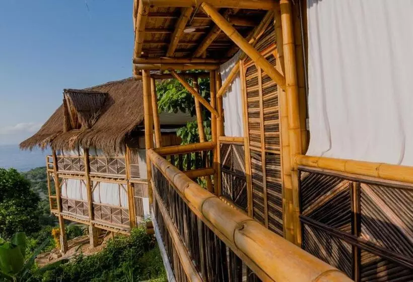 ホテル Niuwi Hostel
