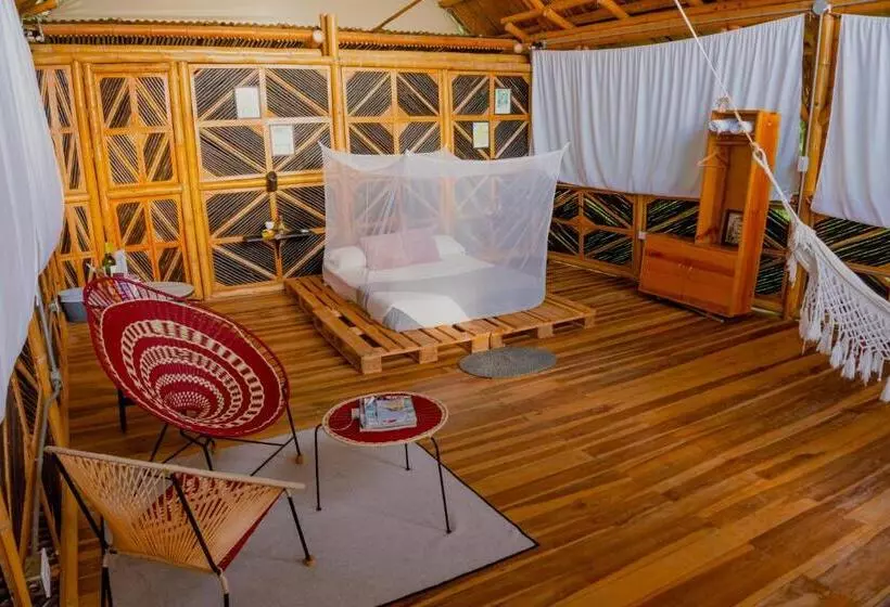 ホテル Niuwi Hostel