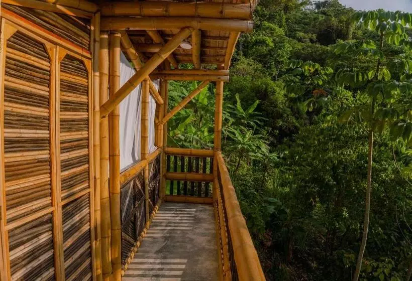 ホテル Niuwi Hostel