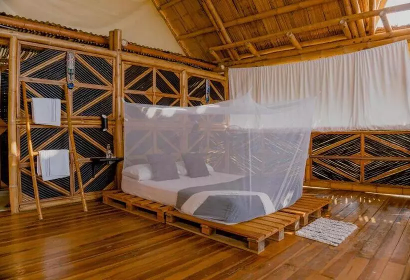 ホテル Niuwi Hostel