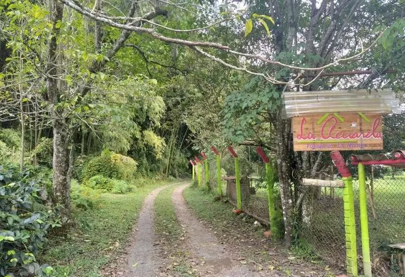 پانسیون La Acuarela, Posada De La Monita