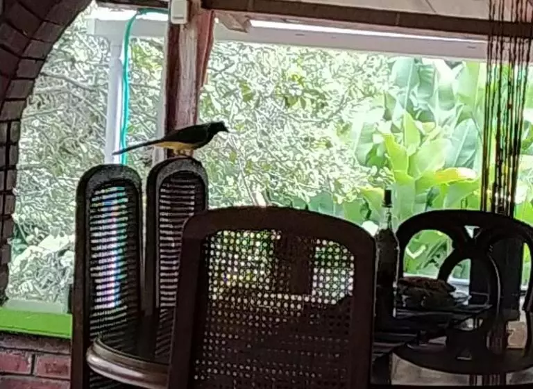 پانسیون La Acuarela, Posada De La Monita