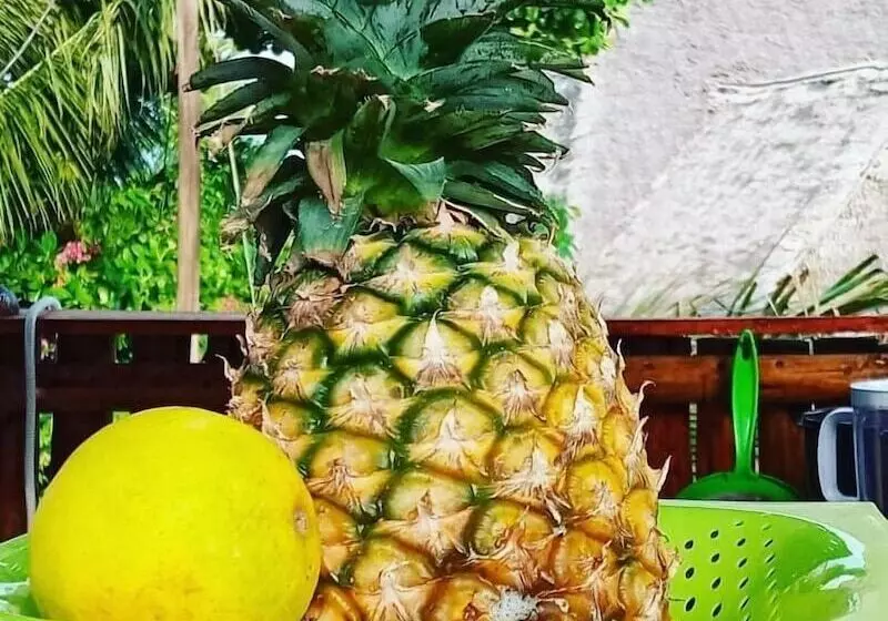 Aamiaismajoitus (B&B) Tropicana Kendwa Beach