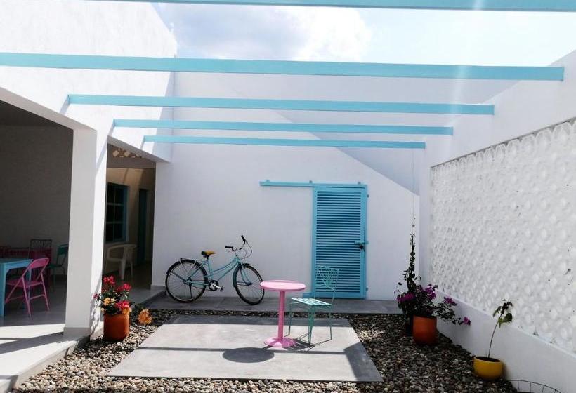 פנסיון Casa Celeste Honda