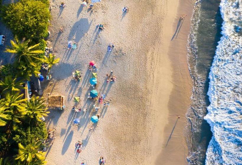 リゾートホテル Azulpitaya Beach Front Hotel In Sayulita