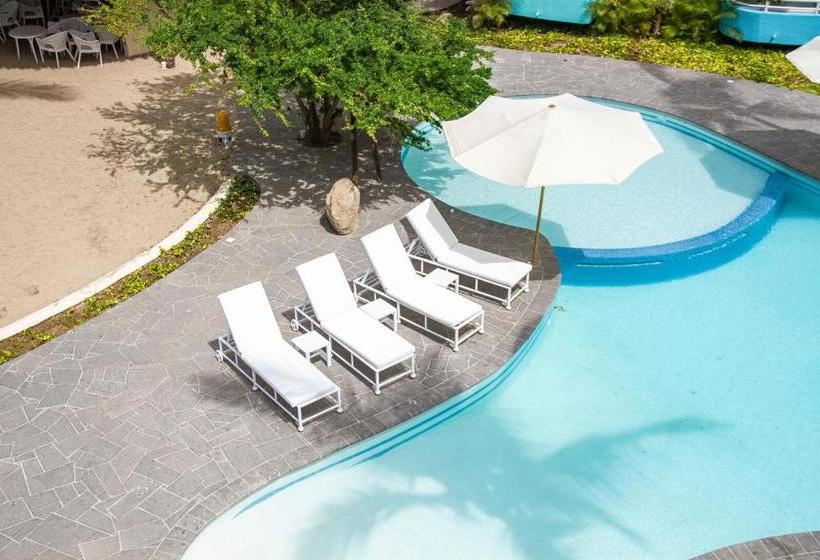 リゾートホテル Azulpitaya Beach Front Hotel In Sayulita