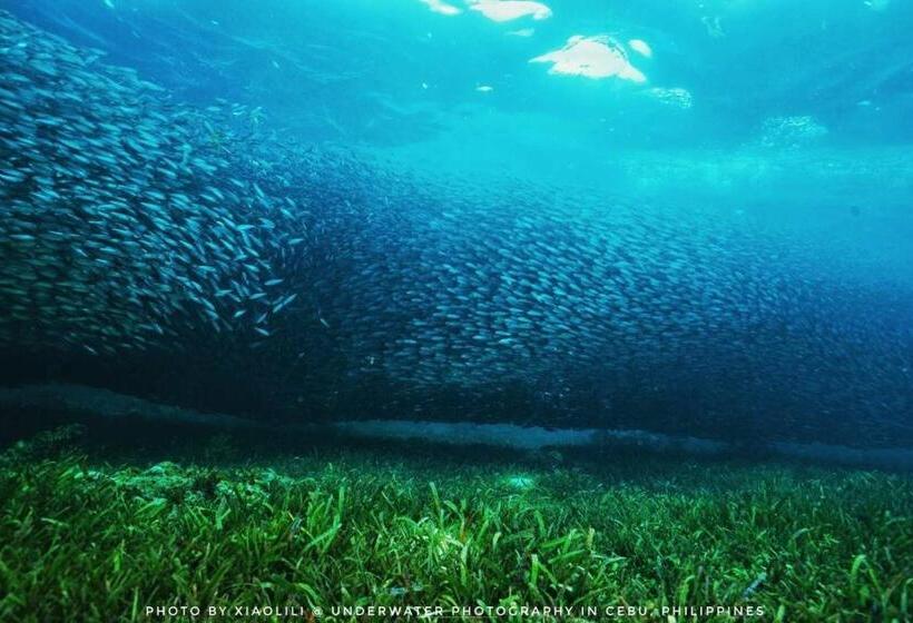 Resort Otel Sugarsea Inn & Dive Shop