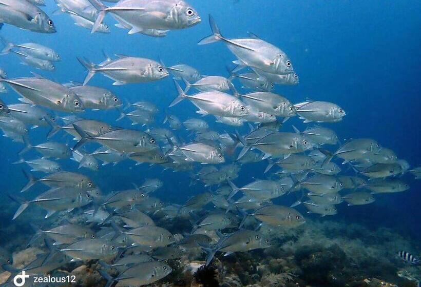 Resort Otel Sugarsea Inn & Dive Shop