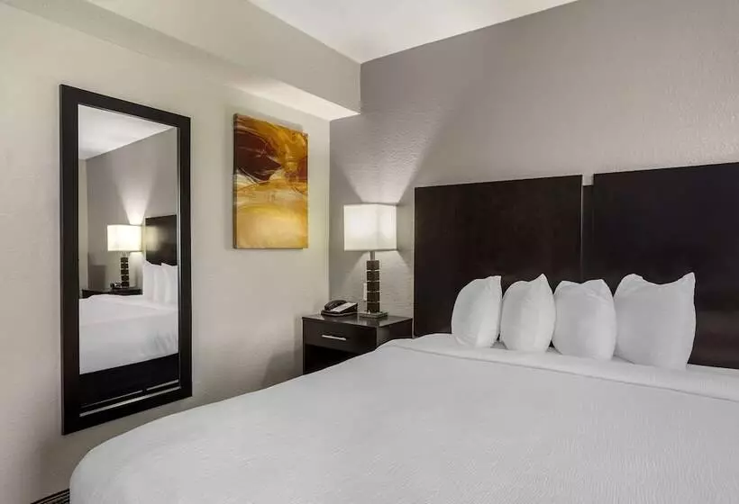 هتل Best Western Plus Jonesboro  Asu University Area