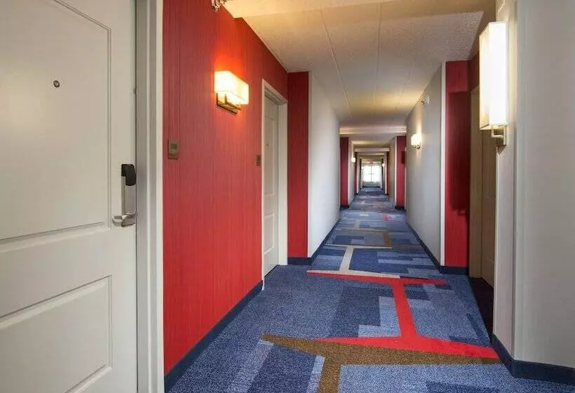 هتل Fairfield Inn & Suites By Marriott Lynchburg Liberty University