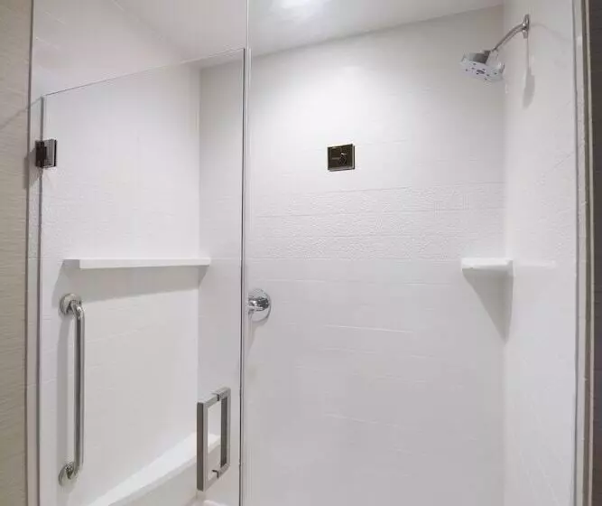 هتل Fairfield Inn & Suites By Marriott Lynchburg Liberty University