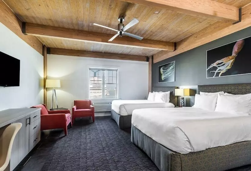 בית מלון כפרי Harbor House At Pier 21