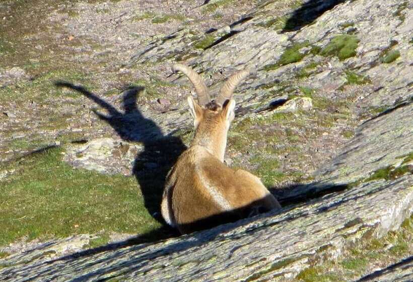 ホテル Hospedería Del Santuario De La Peña De Francia